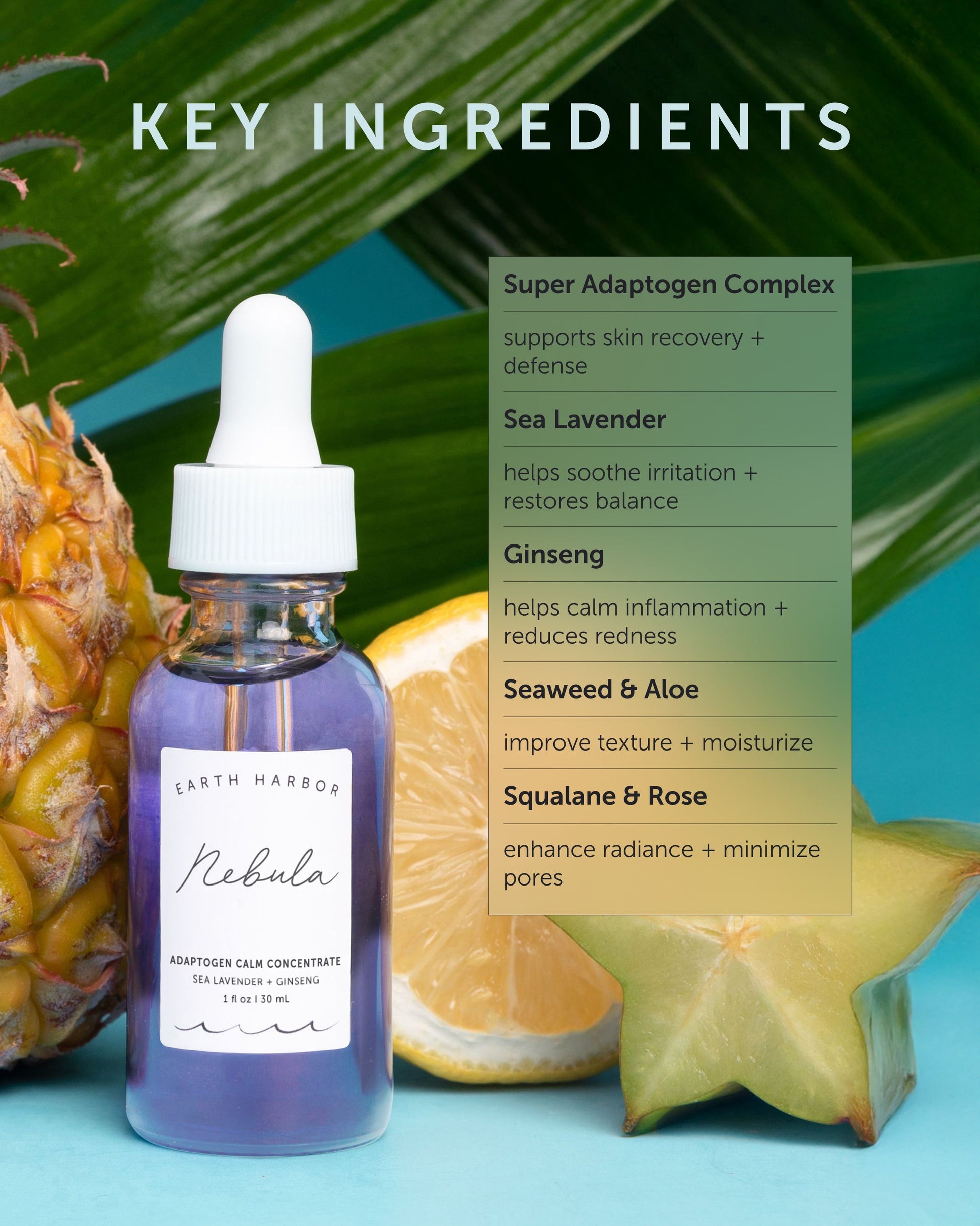 NEBULA Adaptogen Calm Concentrate - Refill